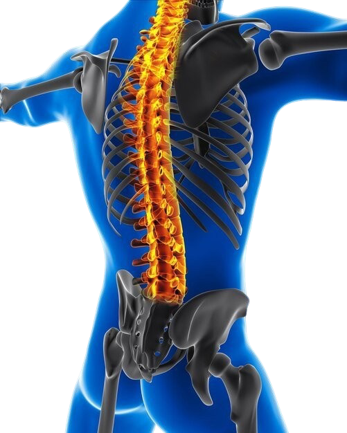 الجراحة الميكروسكوبية الدقيقة